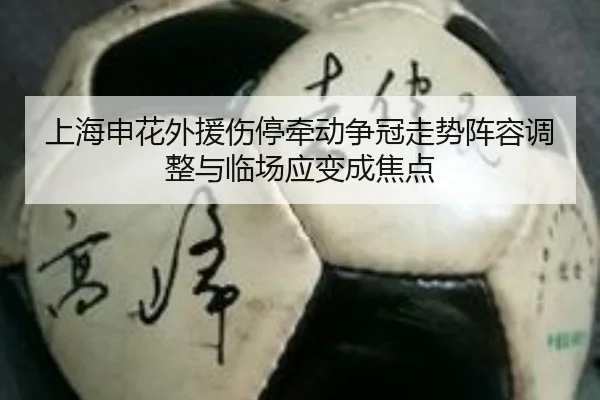 上海申花外援伤停牵动争冠走势阵容调整与临场应变成焦点